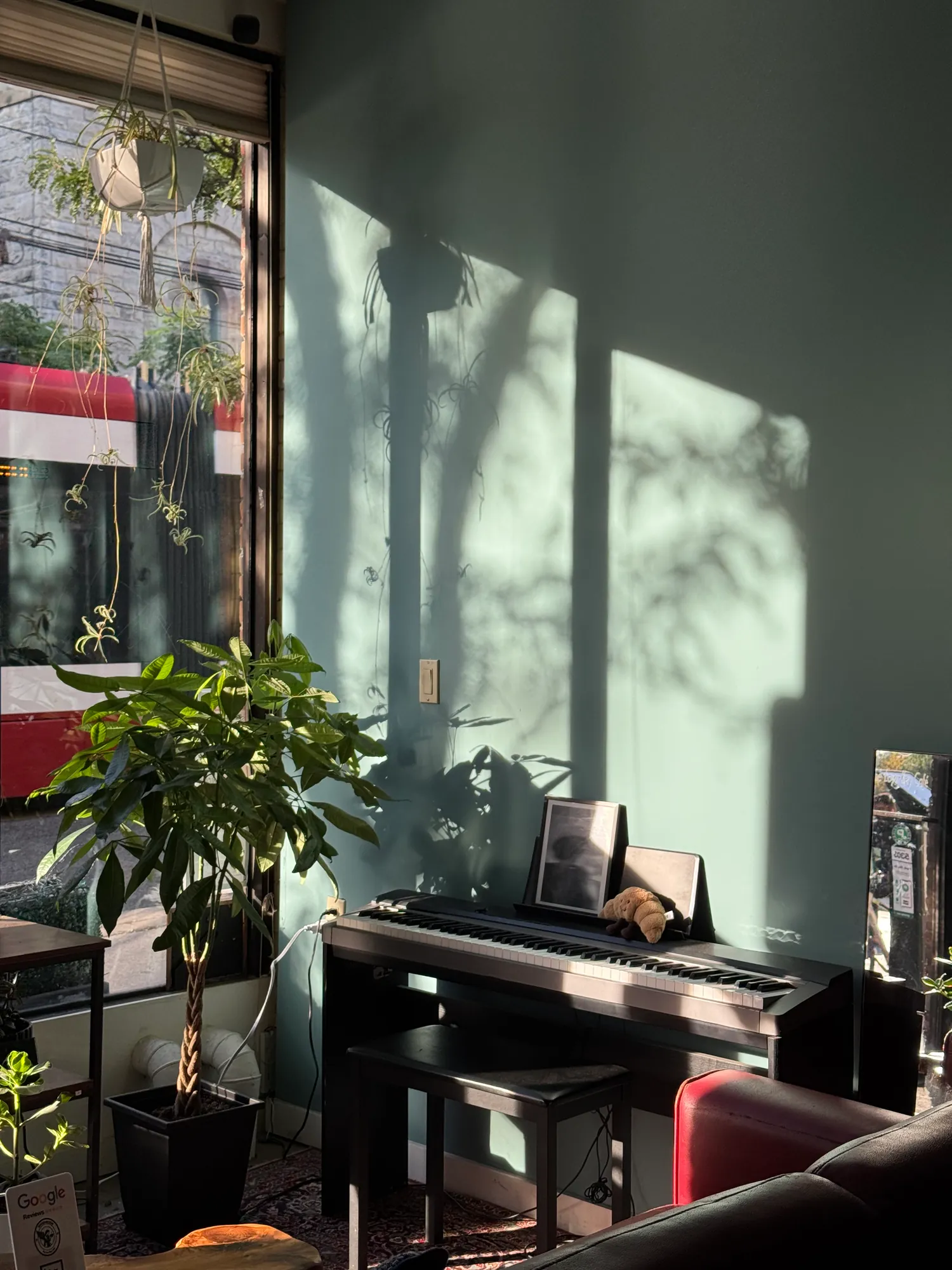 Morning light and plant shadows on the wall above the piano