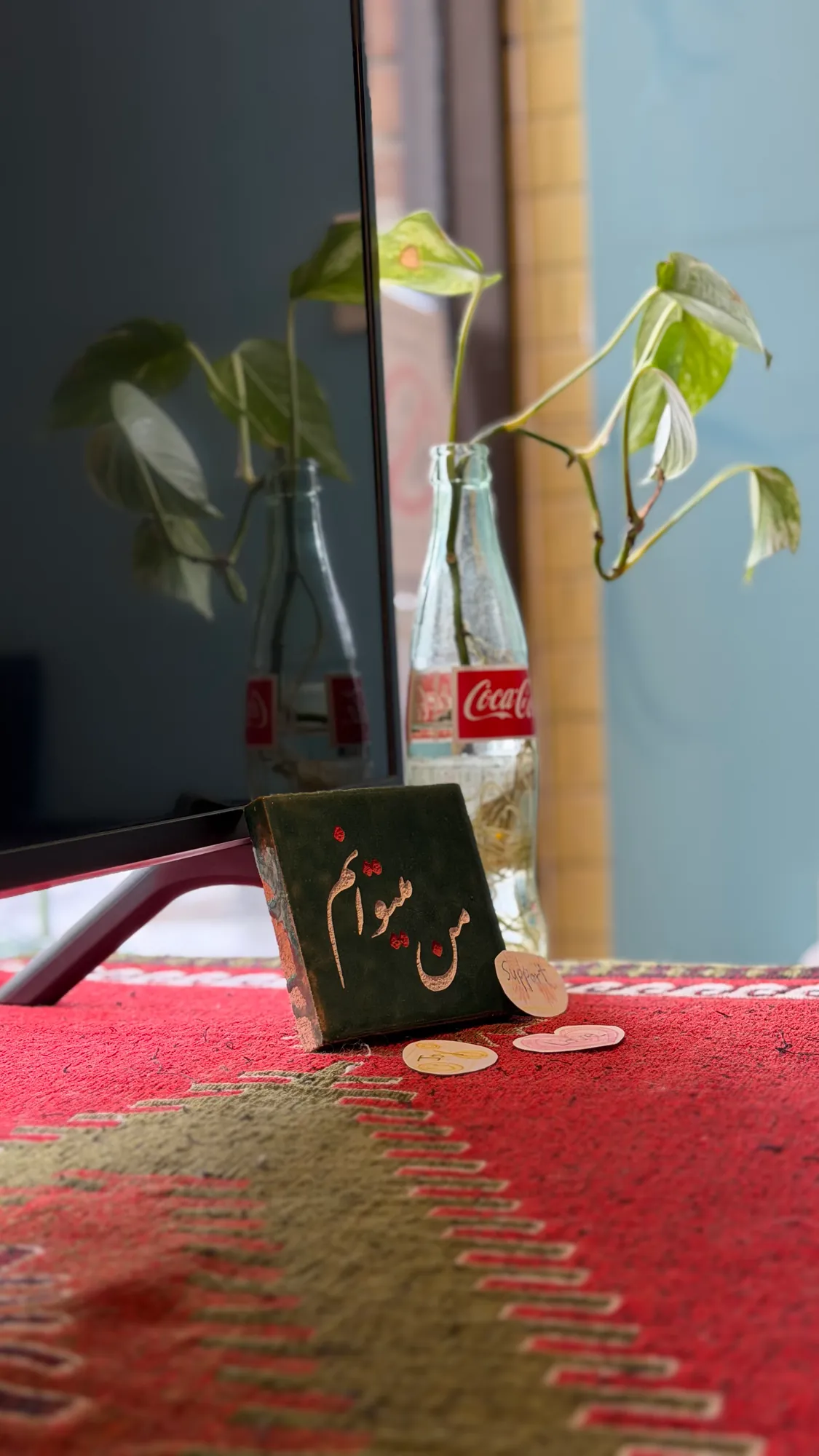 Plant cuttings in glass bottles and a small book on a red woven runner
